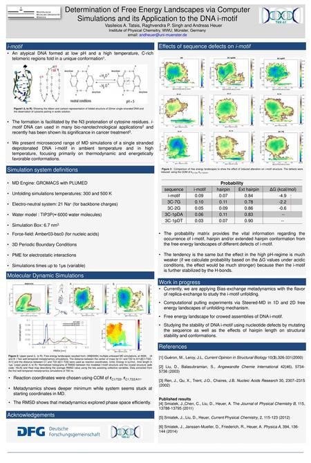 Determination of Free Energy Landscapes via Computer Simulations and its Application to the DNA i-motif Vasileios A. Tatsis, Raghvendra P. Singh.