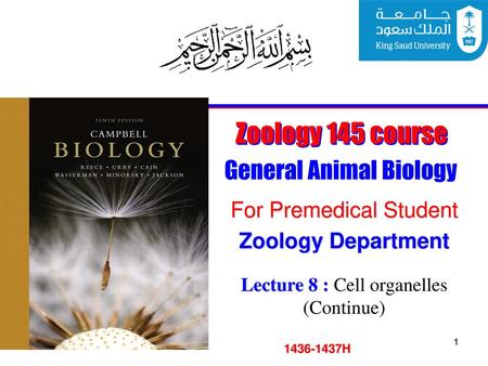 General Animal Biology