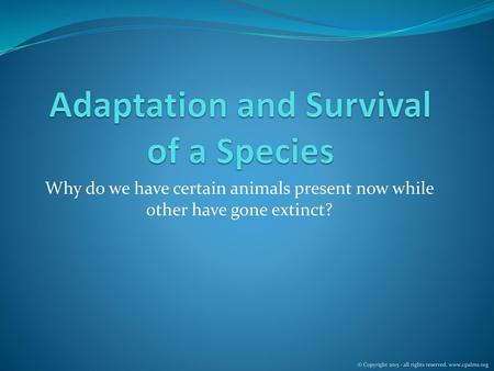 Adaptation and Survival of a Species