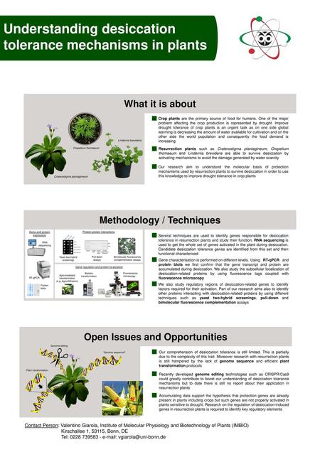 Methodology / Techniques Open Issues and Opportunities