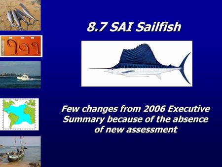 8.7 SAI Sailfish Few changes from 2006 Executive Summary because of the absence of new assessment.