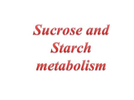 Sucrose and Starch metabolism