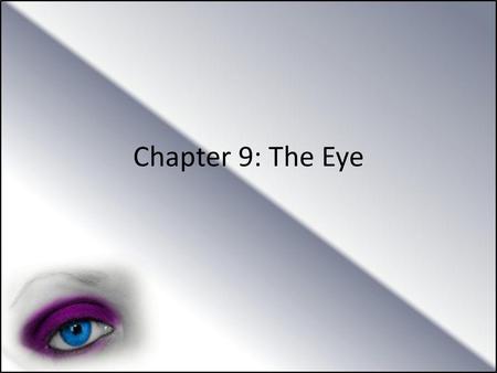 Chapter 9: The Eye.