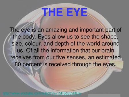 THE EYE The eye is an amazing and important part of the body. Eyes allow us to see the shape, size, colour, and depth of the world around us. Of all the.