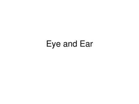 Eye and Ear.