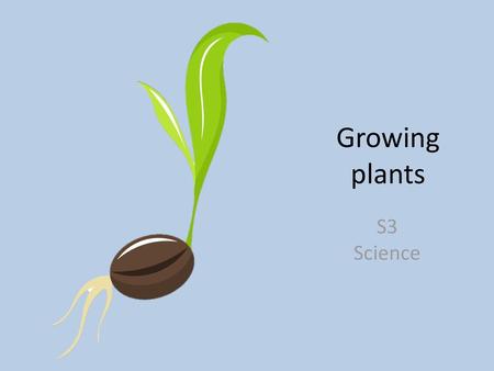 Growing plants S3 Science.