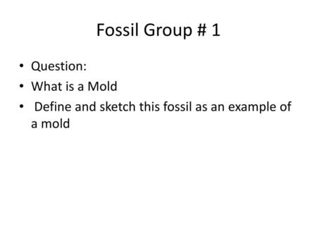 Fossil Group # 1 Question: What is a Mold