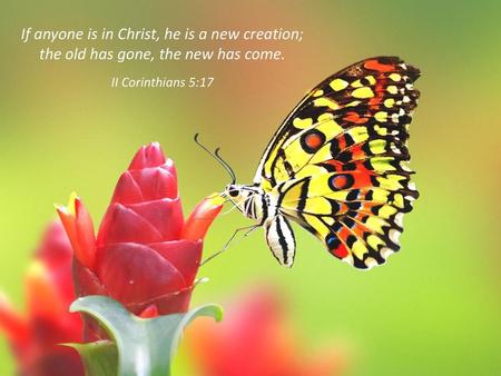 If anyone is in Christ, he is a new creation;