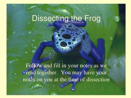 Dissecting the Frog Follow and fill in your notes as we read together. You may have your notes on you at the time of dissection.