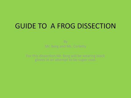 GUIDE TO A FROG DISSECTION