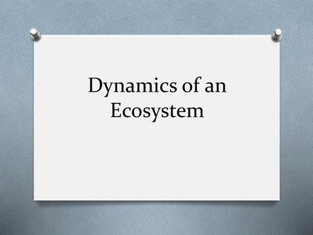 Dynamics of an Ecosystem