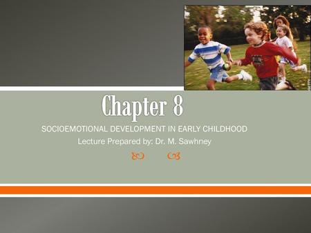 Chapter 8 SOCIOEMOTIONAL DEVELOPMENT IN EARLY CHILDHOOD