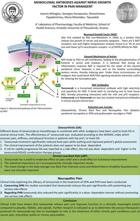 MONOCLONAL ANTIBODIES AGAINST NERVE GROWTH FACTOR IN PAIN MANAGENT