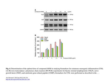 Fig. 4. Determination of the optimal dose of compound 48/80 in studying biomarkers for cutaneous neurogenic inflammation (CNI). (A) Reverse transcriptase-