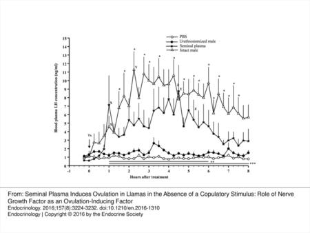 Figure 1 Plasma LH concentration (mean ± SEM) in llamas after IUI of PBS (n = 6) or seminal plasma (n = 6) or after mating with an urethrostomized (n =