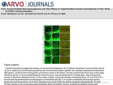 From: Corneal Sulfated Glycosaminoglycans and Their Effects on Trigeminal Nerve Growth Cone Behavior In Vitro: Roles for ECM in Cornea Innervation Invest.