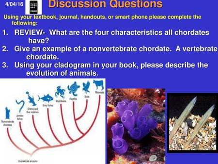 Discussion Questions   4/04/16