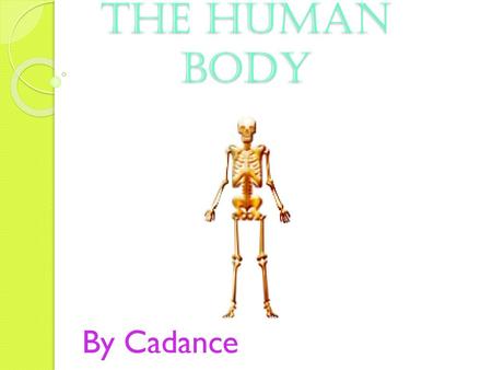 The Human Body By Cadance.