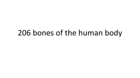 206 bones of the human body.