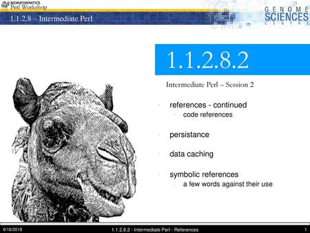 Intermediate Perl - References