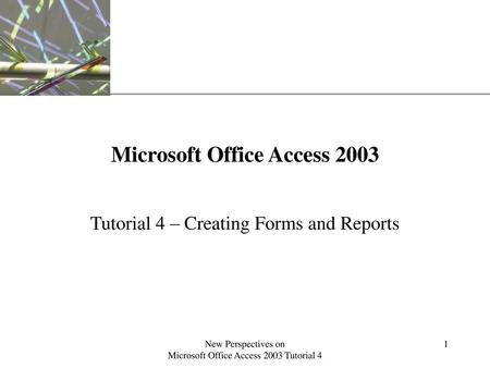 Microsoft Office Access 2003