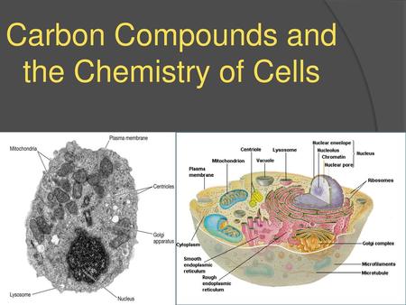 Carbon Compounds and the Chemistry of Cells