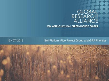 13 / 07/ 2016 SAI Platform Rice Project Group and GRA Priorities.