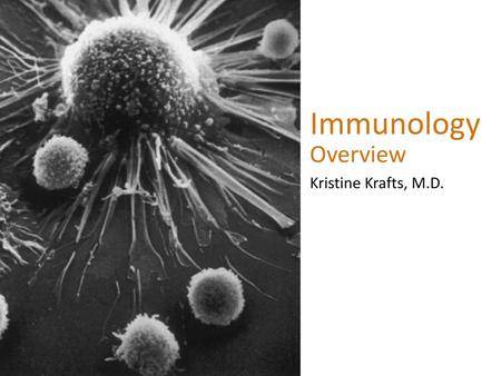 Immunology Overview Kristine Krafts, M.D..