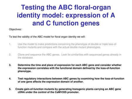 Testing the ABC floral-organ identity model: expression of A and C function genes Objectives: To test the validity of the ABC model for floral organ identity.