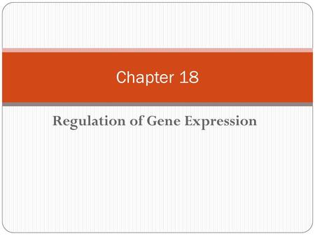 Regulation of Gene Expression