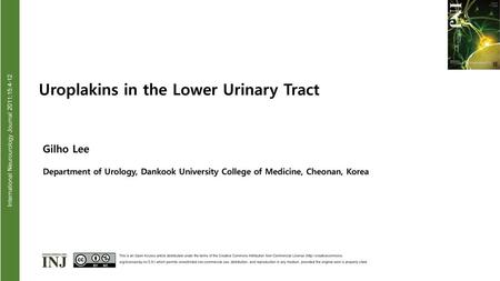 International Neurourology Journal 2011;15:4-12