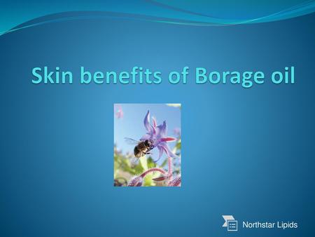 Skin benefits of Borage oil