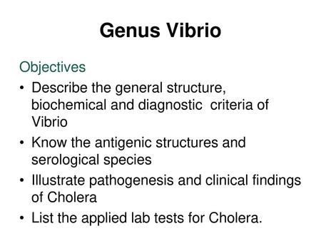 Genus Vibrio Objectives