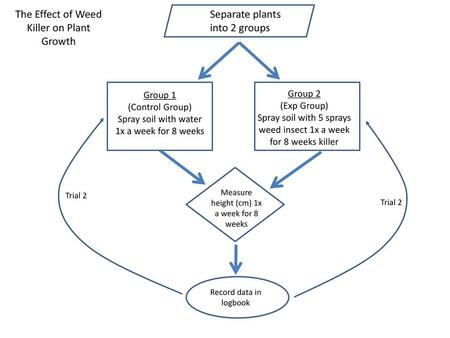 The Effect of Weed Killer on Plant Growth