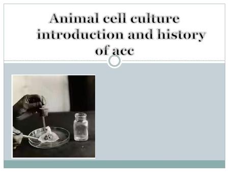 Animal cell culture introduction and history of acc