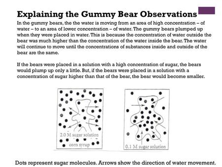 Explaining the Gummy Bear Observations