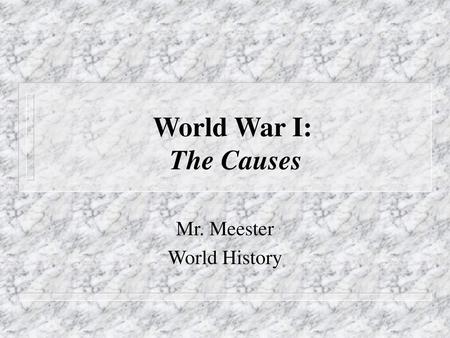 Mr. Meester World History