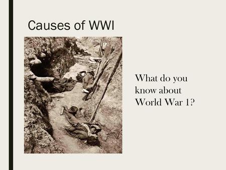 Causes of WWI What do you know about World War 1?