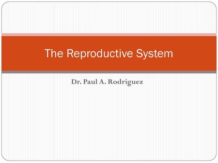 The Reproductive System