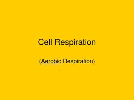 (Aerobic Respiration)