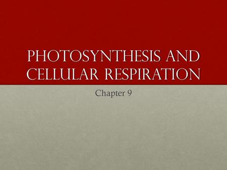 Photosynthesis AND Cellular Respiration