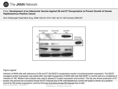 Copyright © 2008 American Medical Association. All rights reserved.