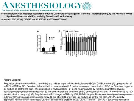 From: MicroRNA-21 Mediates Isoflurane-induced Cardioprotection against Ischemia–Reperfusion Injury via Akt/Nitric Oxide Synthase/Mitochondrial Permeability.