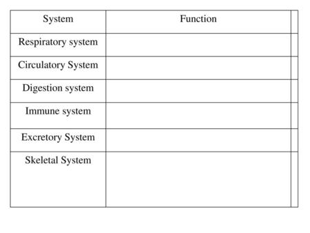 Systems System Function Respiratory system Circulatory System