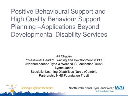 Positive Behavioural Support and High Quality Behaviour Support Planning –Applications Beyond Developmental Disability Services Jill Chaplin Professional.