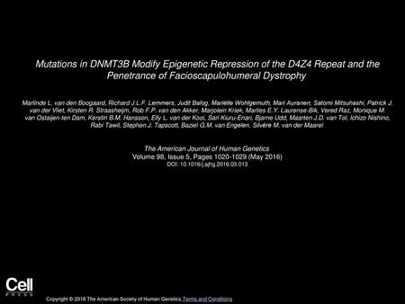 Mutations in DNMT3B Modify Epigenetic Repression of the D4Z4 Repeat and the Penetrance of Facioscapulohumeral Dystrophy  Marlinde L. van den Boogaard,