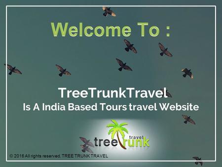 TreeTrunkTravel Is A India Based Tours travel Website © 2016 All rights reserved. TREE TRUNK TRAVEL.