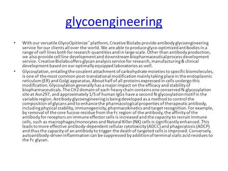 Glycoengineering With our versatile GlycoOpitimize ™ platform, Creative Biolabs provide antibody glycoengineering service for our clients all over the.