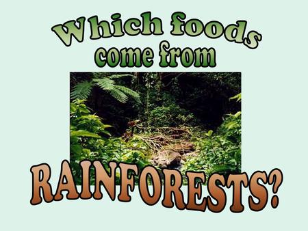 Where do bananas originally come from? Rainforests of Asia.