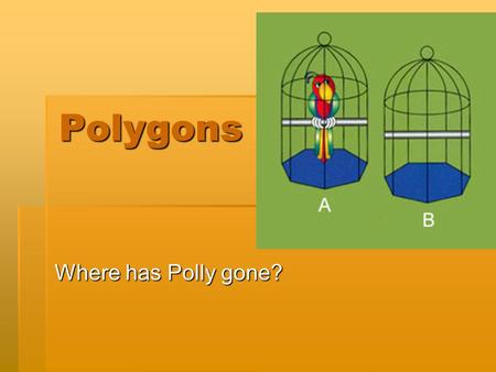 Polygons Where has Polly gone?.